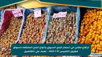 ارتفاع مفاجئ في أسعار البلح السيوي وأنواع البلح المختلفة بأسواق مطروح الخميس 31-7-2025.. تعرف على التفاصيل